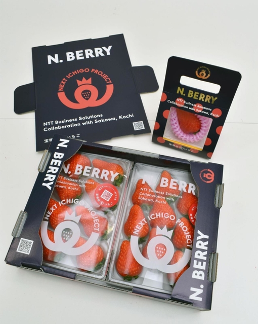 植物工場で育ったイチゴ「Ｎ．ＢＥＲＲＹ」＝宝塚市亀井町、ＮＴＴ西日本宝塚第二別館