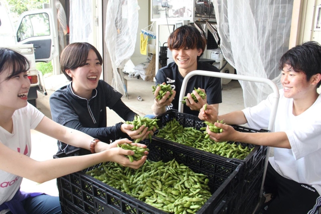 収穫した枝豆を手にする大坂宇津実さん（左から３人目）とサイト「おてつたび」を利用し、作業に加わった学生たち＝丹波篠山市黒田