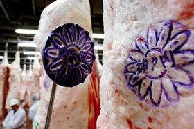 神戸ビーフ大型ポスター縦約65センチ横約55センチでパウチ済み 神戸ビーフ大型ポスター縦約65センチ横約55センチでパウチ済み