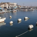 船の区画の仕切りを示すため港に浮かべられた白いフロート＝明石市大久保町西島