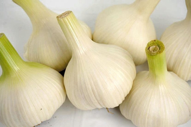 養父で生産された「やぶひこ　フレッシュにんにく」（ナカバヤシ提供）