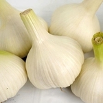 養父で生産された「やぶひこ　フレッシュにんにく」（ナカバヤシ提供）