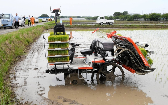 農業者らが見守る中、無人で走行する田植え機＝６月１０日、神戸市西区神出町北