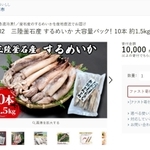 岩手県釜石市の返礼品に加わった阪神低温の冷凍スルメイカを案内する「ふるさとチョイス」のページ
