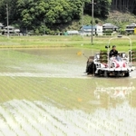 最新のアプリと田植え機で、植え付けと肥料の同時散布を行うアグリヘルシーファームの社員＝丹波篠山市岩崎