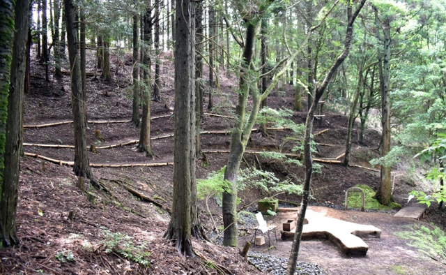山の斜面に、階段状に埋葬用地を整備し、ベンチも設けた＝大阪府、妙見山
