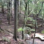 山の斜面に、階段状に埋葬用地を整備し、ベンチも設けた＝大阪府、妙見山