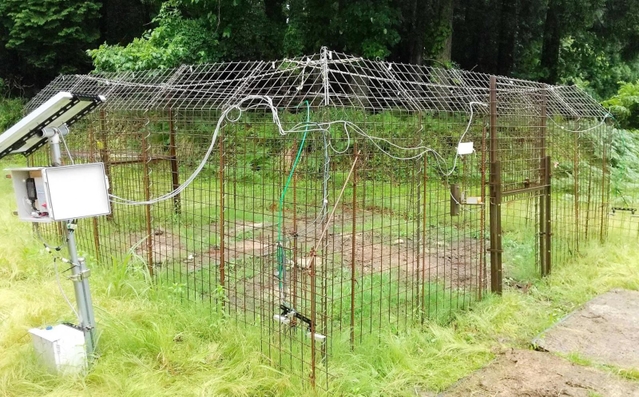 情報通信技術でシカを捕獲するおり＝兵庫県内（県自然鳥獣共生課提供）