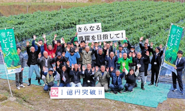 ピーマン販売高１億円突破を祝う農家の人たち＝豊岡市但東町天谷（ＪＡたじま提供）