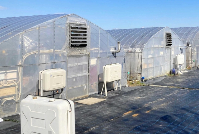 有機農業アカデミーに設置するのと同タイプのビニールハウス＝加西市常吉町、兵庫県立農業大学校（兵庫県提供）