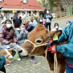 無事に引き継ぎ式を終えたモルモットのうりとジャージー牛のパンケーキ＝神戸市灘区六甲山町