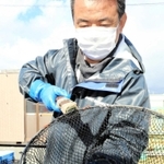 直売会で販売されているマダイ＝平磯海づり公園