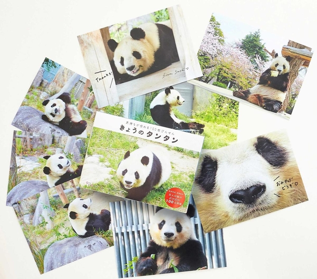 「旦旦（タンタン）」の写真を使用した便箋セット