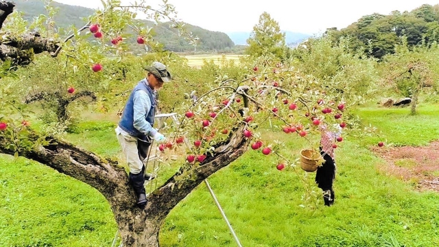 映画「どこかに美しい村はないか」の一場面