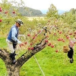 映画「どこかに美しい村はないか」の一場面