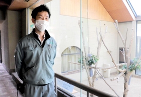 コアラの獣舎の前で思い出を振り返る谷口祥介さん＝神戸市灘区王子町３