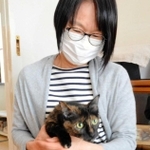 ノエビアスタジアム神戸の屋根から救助されたミィちゃん。飼い主が見つかり、幸せに暮らす＝神戸市長田区内