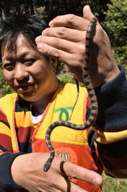 シロマダラを発見した松沼直冶さん＝神戸市北区道場町生野