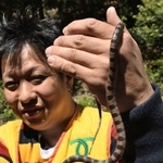 シロマダラを発見した松沼直冶さん＝神戸市北区道場町生野