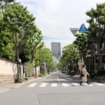 ビートルズのレコードジャケットで有名な「アビー・ロード」の神戸版＝神戸市中央区北野町、北野坂