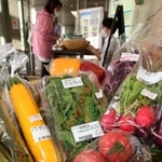 定番品も、減農薬など生で味わえるようこだわって栽培した野菜が並ぶ＝神戸市中央区