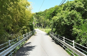 雑木林で宮崎早紀さんの毛髪が見つかった現場付近＝神戸市北区有野町有野