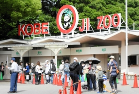 有識者の意見などを基にリニューアルされる市立王子動物園＝２０２０年６月（撮影・後藤亮平）