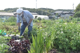 緑に囲まれた貸農園で作業する男性＝神戸市西区伊川谷町前開