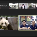 「タンタンを語る会」オンラインイベントの様子