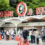 有識者の意見などを基にリニューアルされる市立王子動物園＝２０２０年６月（撮影・後藤亮平）