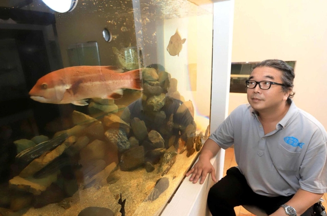 神戸の魚の水槽を眺める大鹿達弥校長＝神戸市垂水区海岸通