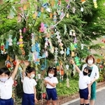 ササ飾りに胸を躍らせる園児たち＝神戸市垂水区北舞子２、かすがこども園