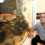神戸の魚の水槽を眺める大鹿達弥校長＝神戸市垂水区海岸通