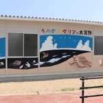 「うみがめマリンの大冒険」のイラストが描かれたプレハブ施設＝神戸市須磨区須磨浦通４