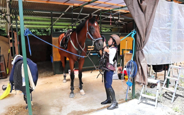 慣れてくると、馬具の着脱も自分で行う＝神戸市西区櫨谷町寺谷、エルミオーレ神戸