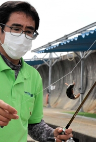 魚を釣り上げたスタッフ。初心者にはえさの付け方やさおの使い方を教えてくれる＝神戸市垂水区平磯１、平磯海づり公園