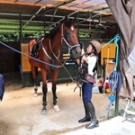 慣れてくると、馬具の着脱も自分で行う＝神戸市西区櫨谷町寺谷、エルミオーレ神戸