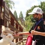 手のひらからヤギへの餌やり体験＝神戸市灘区六甲山町