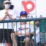 スタンドで試合の行方を見守る岡木優之介外野手＝甲子園球場（撮影・鈴木雅之）