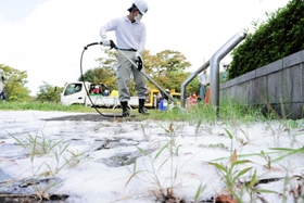 熱湯と泡を雑草にふきかける様子＝神戸市西区糀台６、西神中央公園
