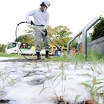 熱湯と泡を雑草にふきかける様子＝神戸市西区糀台６、西神中央公園