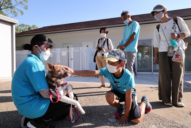 犬舎の前で、譲渡候補の犬と触れ合う＝こうべ動物共生センター