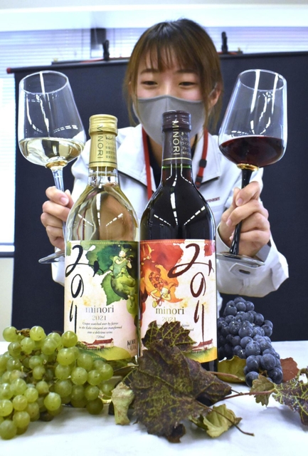 数量限定で販売される「２０２１　新酒みのり」＝神戸市役所
