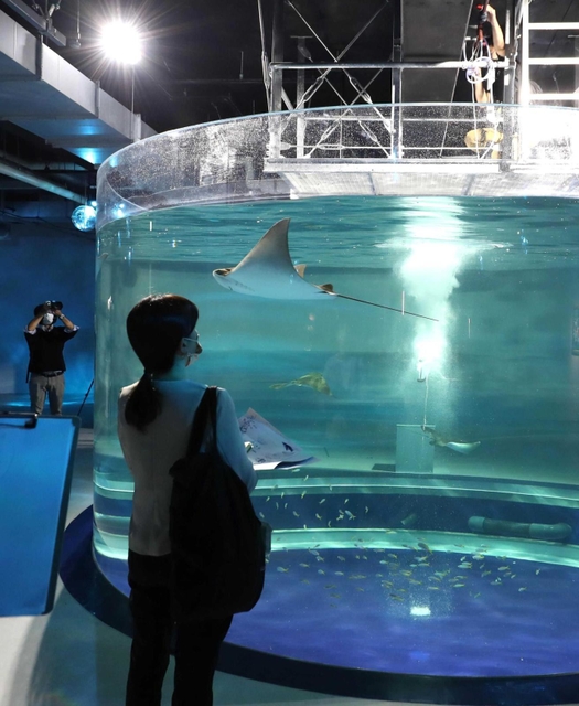 エイなどが泳ぐ巨大な海水水槽＝神戸市中央区新港町（撮影・辰巳直之）