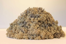岩谷雪子さんの作品。六甲山系で採った植物の造形美や機能を生かして創作した。六甲山サイレンスリゾートで紹介する＝神戸市灘区六甲山町（撮影・吉田敦史）