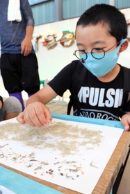 ちりめんモンスターで真剣な表情で選別する児童＝ストリートテーブル三ノ宮