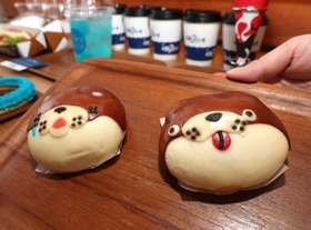 カフェスペースには展示生物をあしらったメニューも＝神戸市中央区新港町（撮影・辰巳直之）
