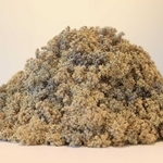 岩谷雪子さんの作品。六甲山系で採った植物の造形美や機能を生かして創作した。六甲山サイレンスリゾートで紹介する＝神戸市灘区六甲山町（撮影・吉田敦史）