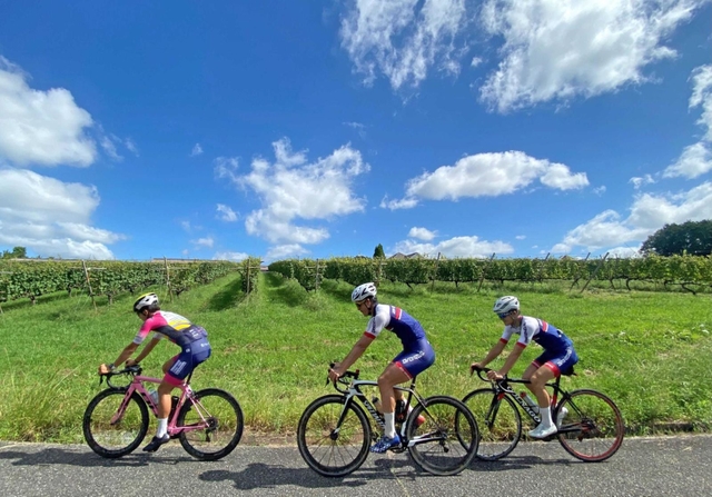 神戸ワイナリーで開かれる自転車イベントのイメージ（実行委員会提供）