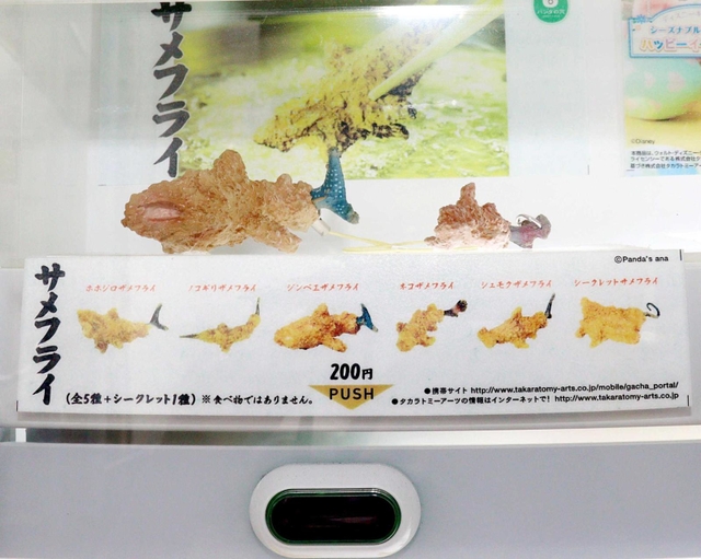 さまざまなサメフライが並ぶ自販機＝神戸市東灘区御影本町４